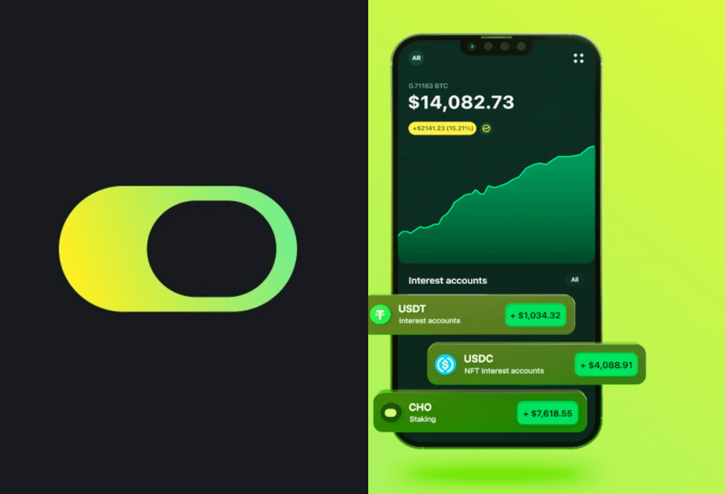 Become a Crypto Company Co-Owner: Invest in Choise.com