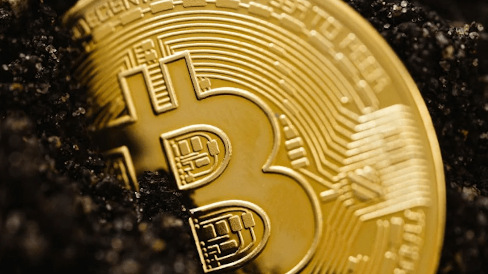 Is It Worth Online Gamblers Making The Jump Into Crypto In 2025?